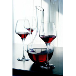 Open Up Universal Tasting