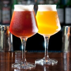 Verre Dégustation Teku