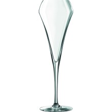 Open Up Glass Champagne