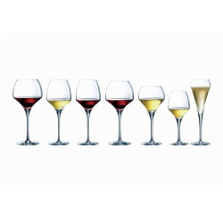 Verre Open Up Grappa 17 cl