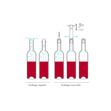 Wine Saver Vacu-Vin Pumpe