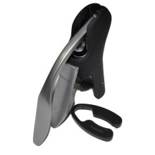 Corkscrew Octopus